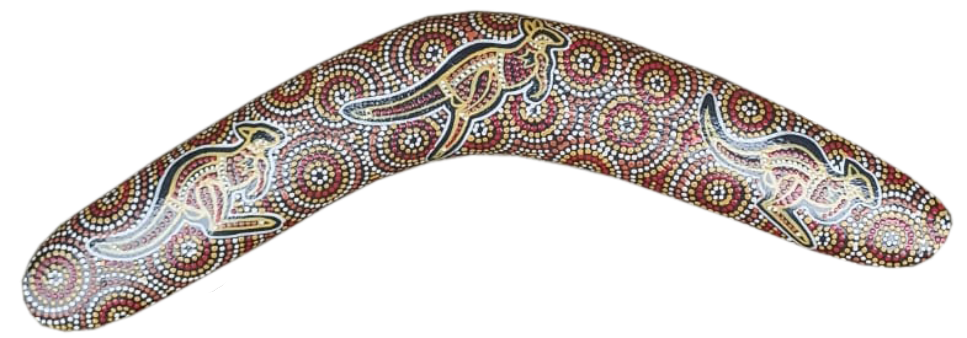Boomerang - Desert Kangaroo By Susan Betts