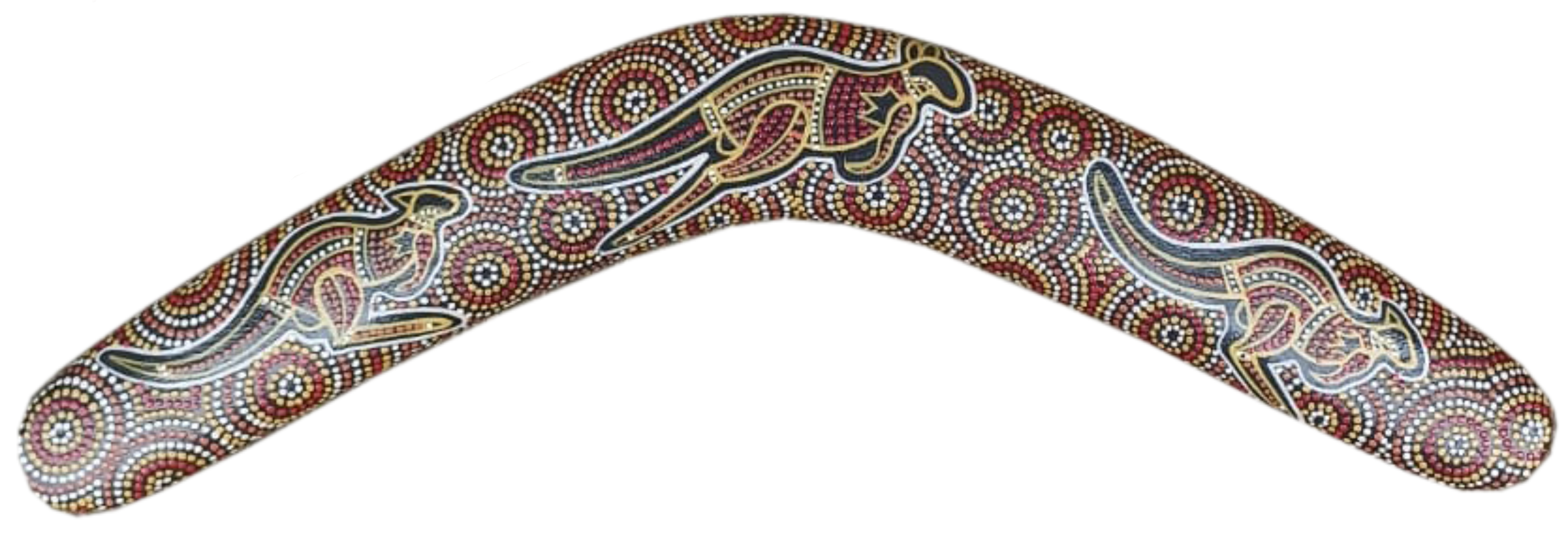 Boomerang - Desert Kangaroo By Susan Betts