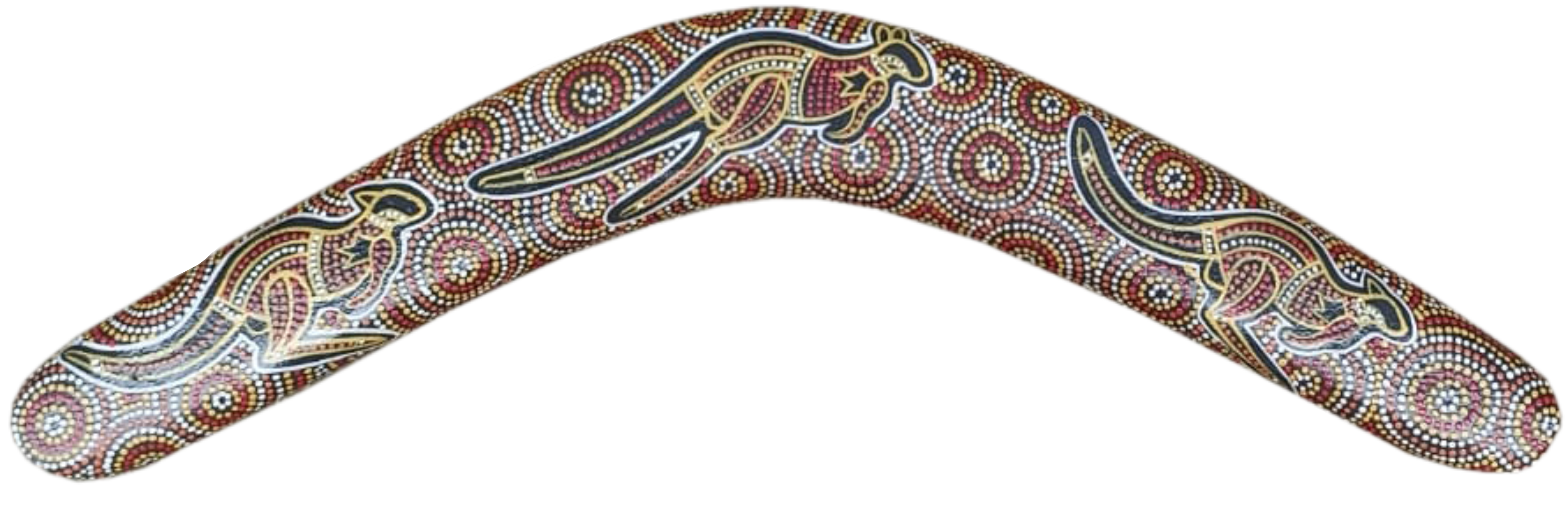 Boomerang - Desert Kangaroo By Susan Betts