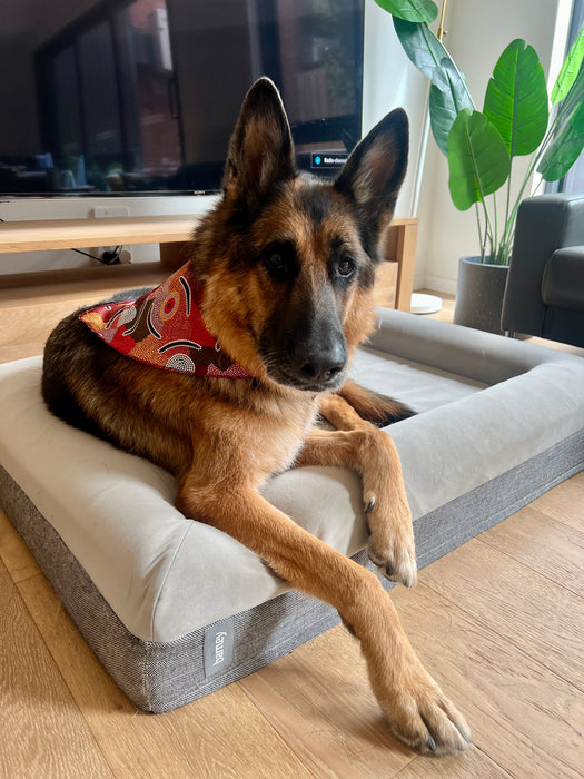 Doggie Bandanas - Art Downunder Designs