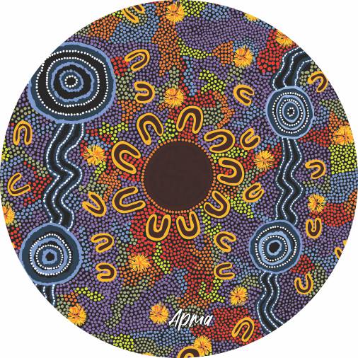 Aboriginal Ceramic Coasters By Merryn Apma