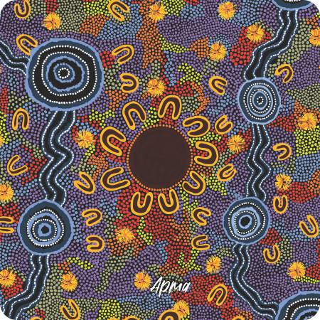 Aboriginal Ceramic Coasters By Merryn Apma